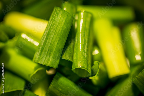 Layers of vibrant green onion segments from a macro perspective