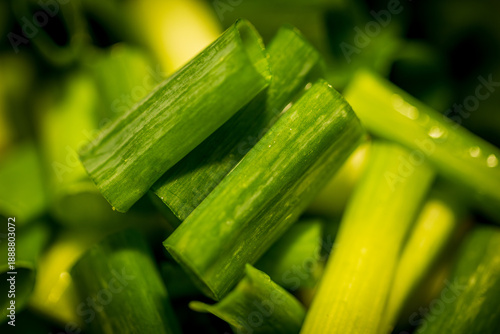 Layers of vibrant green onion segments from a macro perspective