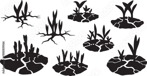 Black silhouettes of plants growing in cracked dry earth