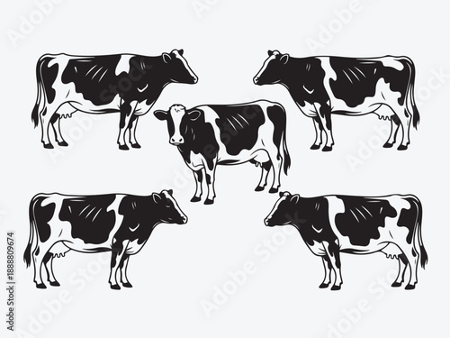 A herd of black and white dairy cattle and a young calf stand grazing in a lush green rural pasture, representing traditional livestock agriculture on a scenic milk farm meadow