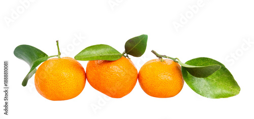 bunch of tangerines with leaves isolated on white