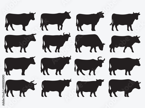 Cows on a farm in simple black vector silhouette on a white background