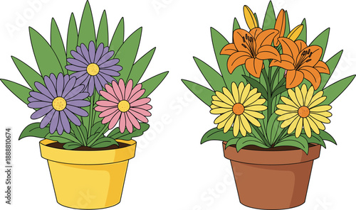 Potted garden flower plants with colorful purple pink daisies and orange lilies in yellow and terracotta pots isolated on white background vector illustration