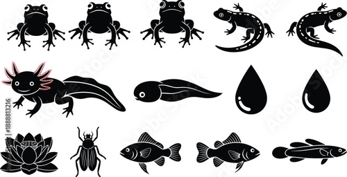 Set of aquatic animal silhouettes including axolotl, frogs, salamanders, fish and lotus flower, pond life ecosystem wildlife elements collection vector illustration isolated