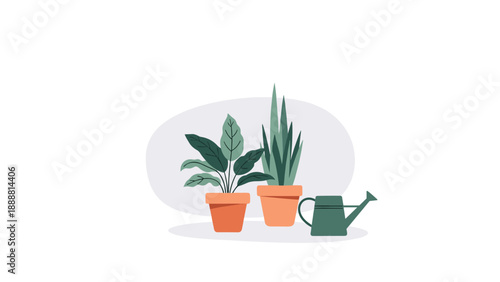 Two green houseplants in terracotta pots sitting next to a dark green watering can on a light grey background for gardening.