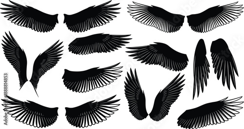 Set of black wing silhouettes for bird, angel, and eagle designs, featuring various feather shapes, flying positions, heraldry elements, and mythological tattoo art icons,