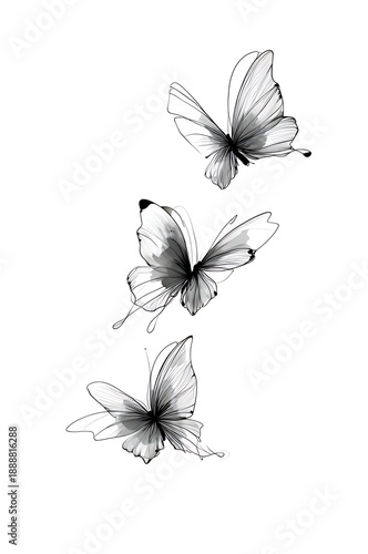 Minimalist Butterfly Line Art Tattoo Design
Three Delicate Butterflies Connected with Dots on White Background