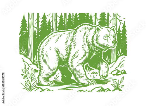 Vintage bear illustration in forest. Grizzly bear artwork for nature theme design. Wildlife outdoor adventure graphic. T shirt print, poster, sticker,