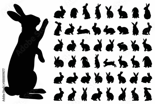 Fotografia Set of Black Silhouette Rabbits and Bunnies Collection Vector Illustration, Cute