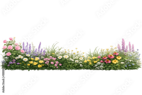 Vibrant flower border with colorful blooms