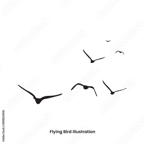 Flying Bird Vector Illustration