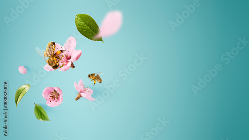 Flying honey bees with pink flowers and green leaves isolated on blue background with copy space. Creative spring concept of nature pollination, ecology and organic honey production.