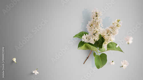 Photos Creative art collage of flying white lilac flowers and green leaves on grey background with copy space
