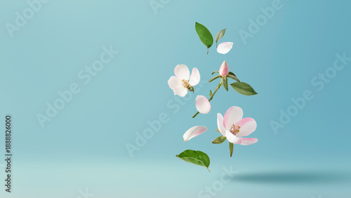 Creative art collage of flying quince (Cydonia) and apple tree flowers with green leaves isolated on blue background. Concept of spring nature, minimalist beauty, floral freshness and perfume aroma.
