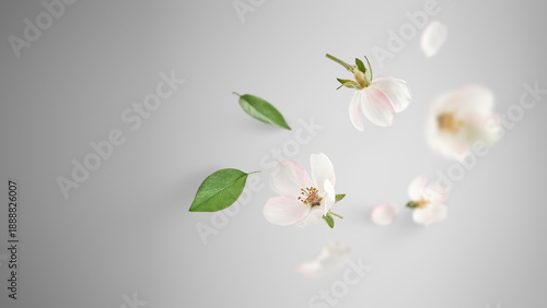 Creative art collage of flying white quince (Cydonia) flowers and green leaves on grey background with copy space. Concept of premium beauty, floral perfume aroma, sympathy or wedding elegance.