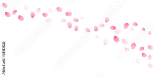 Sakura cherry petals, pink apricot flowers falling wavy border. Vector background