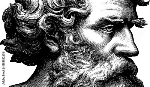 Vintage botanical portrait engraving: historical art reference for design