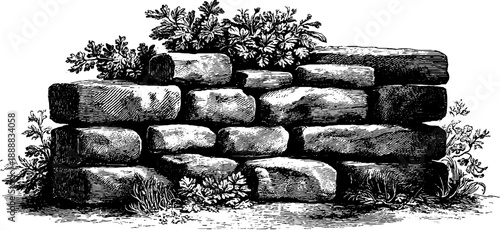 Vintage botanical engraving of ashlar masonry pattern with 19th century flora - design for print or poster