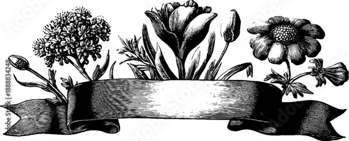 Vintage botanical ribbon banner with floral accents for retro design projects