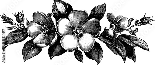 Elegant floral banner with ornamental vintage botanical engraving for decoration and design