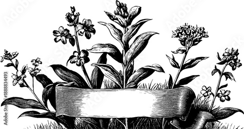 Ornamental botanical banner design with vintage engraved flowers for posters or labels