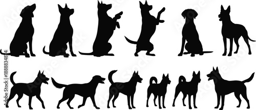 Dog silhouette collection, seated pose, standing dog, walking motion, begging position, pet behavior, black illustration, canine posture, animal gesture, variety