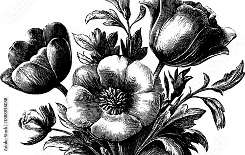 Vintage botanical bouquet diagram for educational purposes and floral design