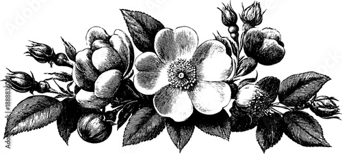 Monochrome botanical bouquet plate design for vintage decor