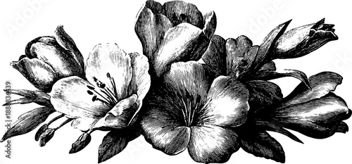 Vintage botanical bouquet top view layout for design and decoration