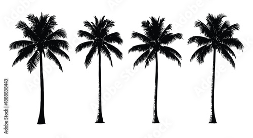 Four tall black silhouette palm trees isolated against a clean bright white background illustration