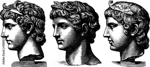 Classical bust fragment in vintage botanical style - engraving design for art prints