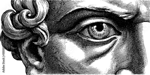 Classical bust eye socket with vintage botanical engraving aesthetic design for art lovers