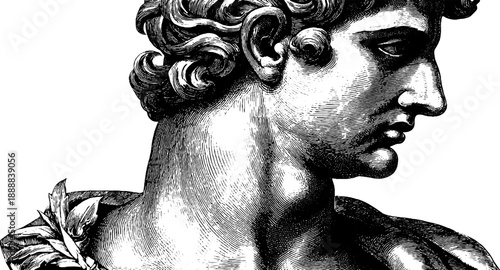 Classical bust with jawline and botanical elements engraving for art study and design