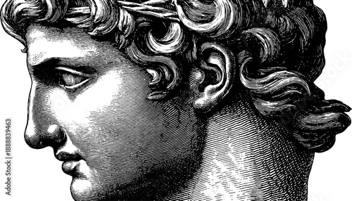 Classical bust profile with vintage botanical elements hand drawn for design