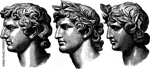 Classical bust restoration diagram in vintage botanical style