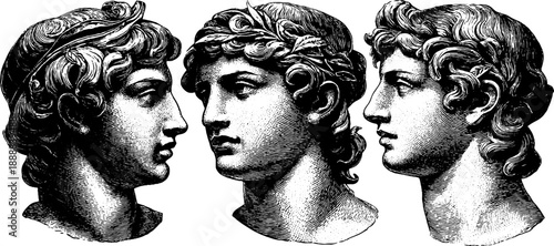 Classical bust with proportion grid overlay and vintage botanical elements