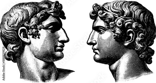 Classical bust with calm expression in vintage botanical engraving style