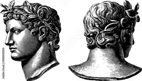 Classical bust with idealized features and botanical elements - vintage design for art and decor