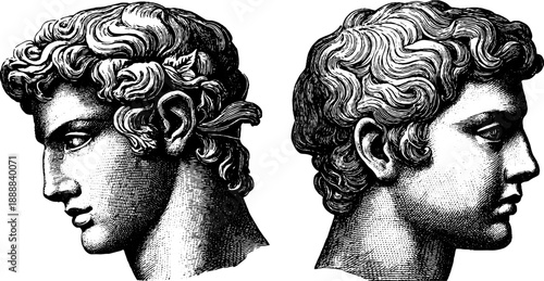 Vintage classical bust with missing nose fragments - hand-drawn botanical design for artistic decor