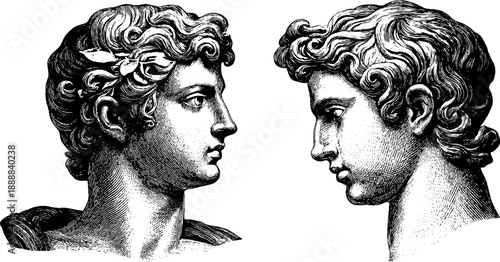 Classical bust with wavy hair and vintage botanical elements engraving - art and design inspiration