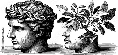 Classical bust with botanical element in vintage engraving style for artistic design