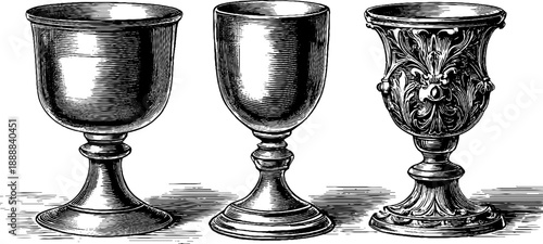 Classical decorative goblets with botanical designs from 19th century vintage engraving