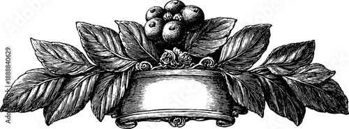 Classical decorative mirror frame with botanical engraving design for vintage decor projects