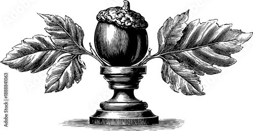 Vintage botanical decorative finial element with leaves and acorn design for engraving projects