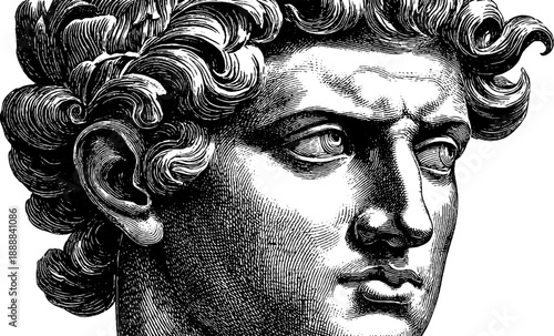 Classical marble bust of male figure in vintage botanical engraving style