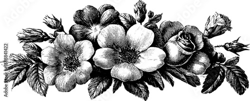 Vintage botanical plate design featuring classical decorative floral engraving