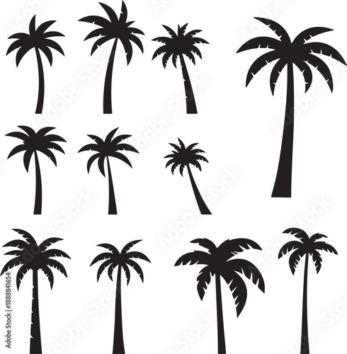  set of palm trees, palm, tree, tropical, vector, silhouette, beach, nature, leaf, illustration, summer, coconut, palm tree, island, plant, design, travel, pattern, sea, sun, palms, branch, palmtree