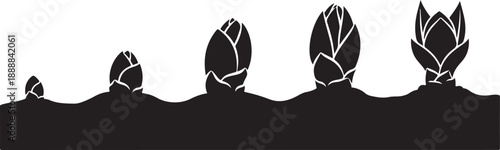 Black silhouettes of sprouting plants growing in soil landscape