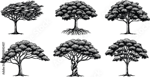 A simple vector illustration showing a decorative set of green trees and grape vines with leaves and branches in a natural forest style