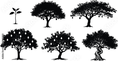 A simple black vector illustration showing a collection of tree silhouettes in a natural forest style